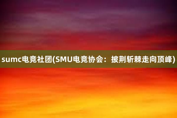 sumc电竞社团(SMU电竞协会：披荆斩棘走向顶峰)