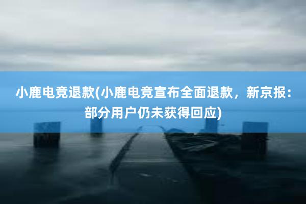 小鹿电竞退款(小鹿电竞宣布全面退款，新京报：部分用户仍未获得回应)