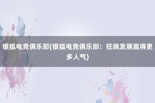 银狐电竞俱乐部(银狐电竞俱乐部：狂飙发展赢得更多人气)