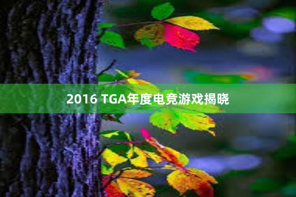 2016 TGA年度电竞游戏揭晓